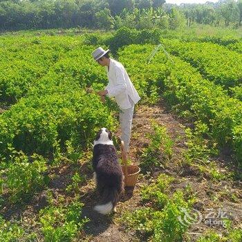 大理盖娅庄园民宿酒店提供图片