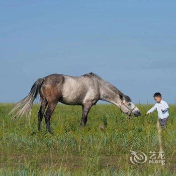 呼伦贝尔牧居原上蒙古包营地酒店提供图片