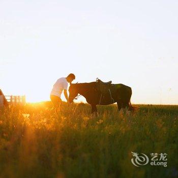 呼伦贝尔牧居原上蒙古包营地酒店提供图片