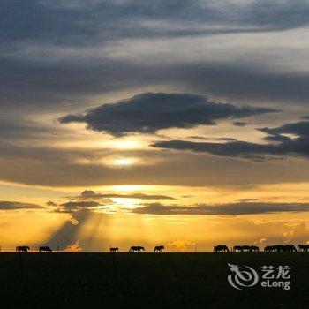 呼伦贝尔牧居原上蒙古包营地酒店提供图片