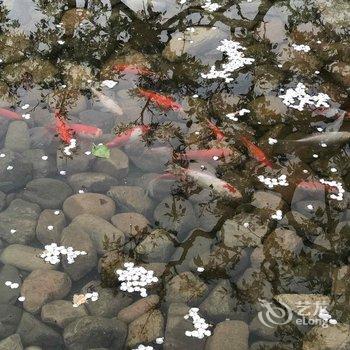 不老山居民宿(北京不老屯店)酒店提供图片