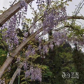 重庆竹里馆酒店酒店提供图片