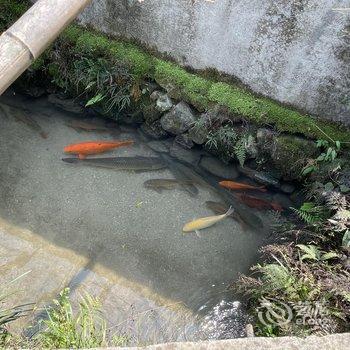 三清山陈家农庄酒店提供图片