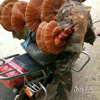 白山赵冉冉公寓酒店提供图片