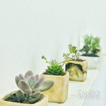 青岛美食通公寓酒店提供图片