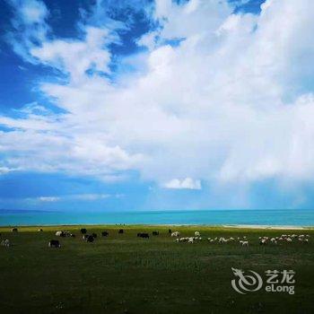 青海湖藏族秘岸客栈酒店提供图片