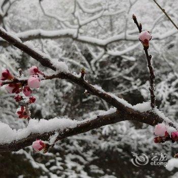 北京节气山房民宿酒店提供图片