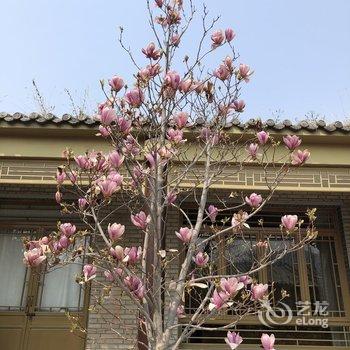 北京宜室怡趣民宿酒店提供图片