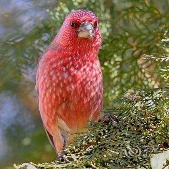 西安四木青年旅舍酒店提供图片