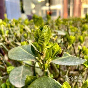 北京宜室怡趣民宿酒店提供图片