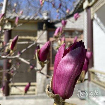 北京宜室怡趣民宿酒店提供图片