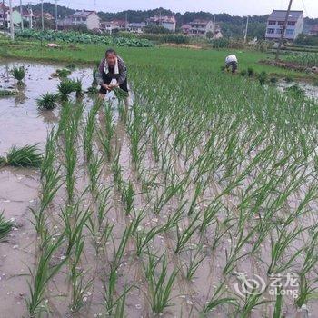 桐庐舍予民宿酒店提供图片