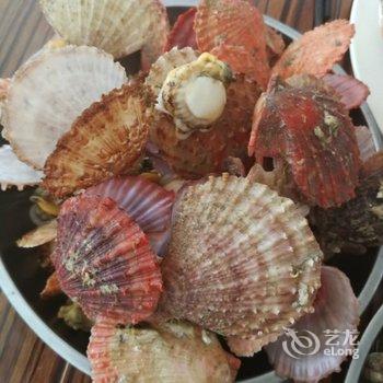 青岛大海的传说民宿酒店提供图片