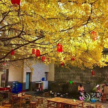 腾冲南方·有杏客栈(银杏村店)酒店提供图片