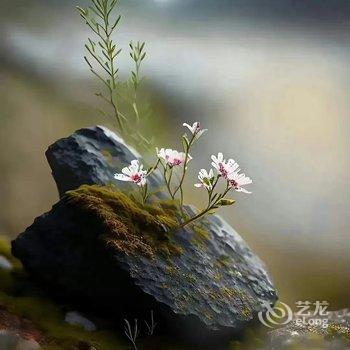 ����ʮ��أ��ջ�Ƶ��ṩͼƬ