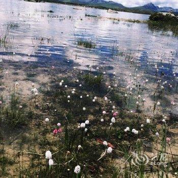 稻城风陵渡客栈酒店提供图片
