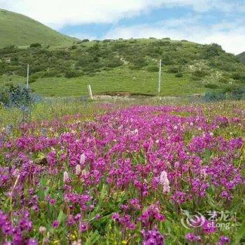 稻城风陵渡客栈酒店提供图片