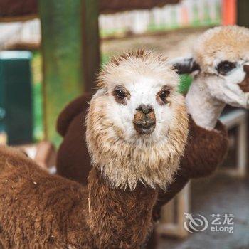 昆明古滇度假酒店酒店提供图片