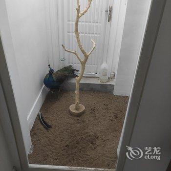 西安皇城根民宿酒店提供图片
