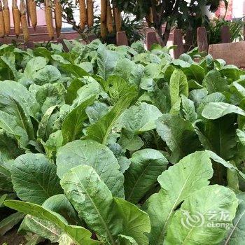 北京本土人家农家院酒店提供图片