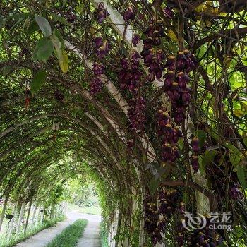 重庆竹里馆酒店酒店提供图片