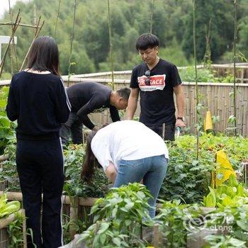 天目山棋盘山居有机亲子庄园酒店提供图片