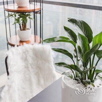 成都翼龙公寓(2号店)酒店提供图片