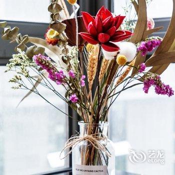 成都曦栖公寓酒店提供图片
