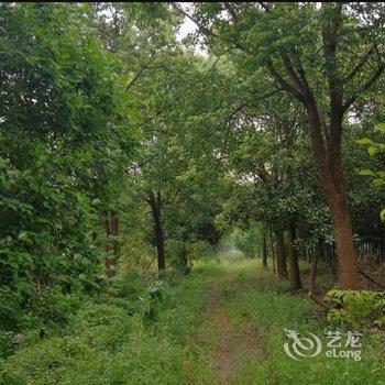 竹林园农家乐酒店提供图片