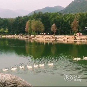 五台山迎客轩酒店提供图片