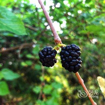 北京本土人家农家院酒店提供图片