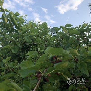 北京本土人家农家院酒店提供图片