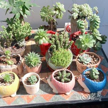 三月民宿酒店提供图片