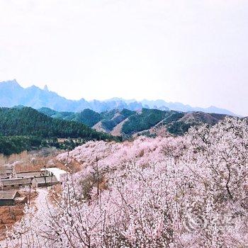 北京山今宿民宿酒店提供图片