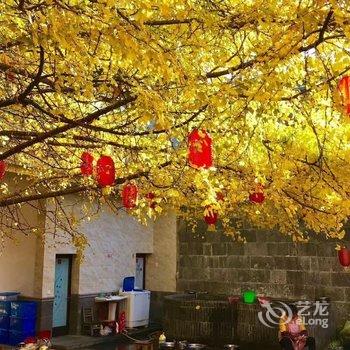 腾冲南方·有杏客栈(银杏村店)酒店提供图片