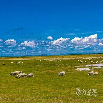克什克腾旗安达牧人家度假村酒店提供图片