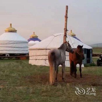 克什克腾旗安达牧人家度假村酒店提供图片