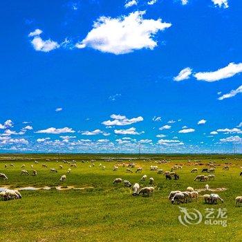 克什克腾旗安达牧人家度假村酒店提供图片