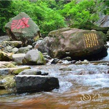 临安古树枫林民宿(指南村店)酒店提供图片