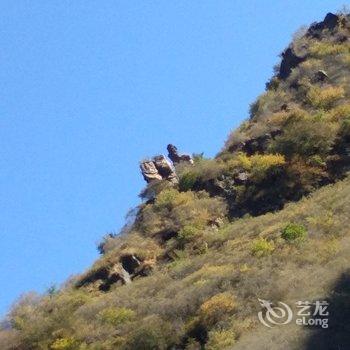 北京十渡山缘民宿酒店提供图片