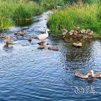 自在怀里民宿酒店提供图片