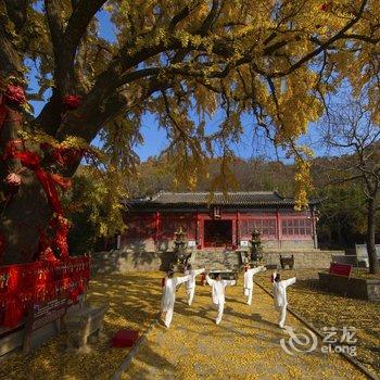 荣成金悦国际酒店酒店提供图片