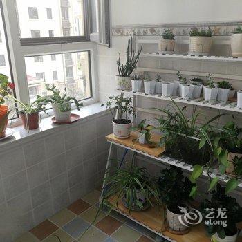 青岛简约温馨小居公寓酒店提供图片
