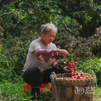 广州玉溪古荔园精品民宿酒店提供图片
