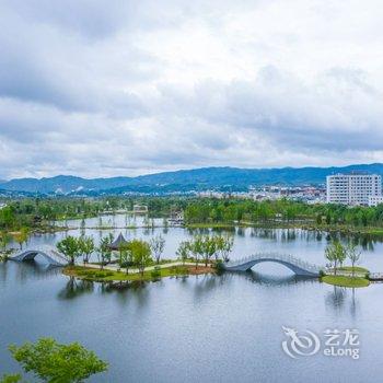 昌宁盛世金樽大酒店(茶韵公园店)酒店提供图片