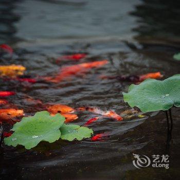 臻于·东福红豆杉庄(宁海店)酒店提供图片