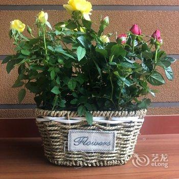 成都莎莎的美式洋房公寓酒店提供图片