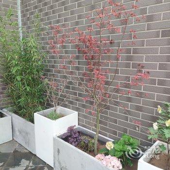 崂山西麓豪华家庭别墅(王沙路分店)酒店提供图片