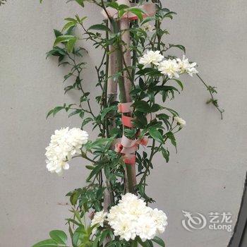 崂山西麓豪华家庭别墅(王沙路分店)酒店提供图片