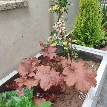 崂山西麓豪华家庭别墅(王沙路分店)酒店提供图片